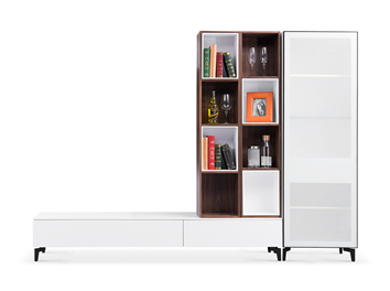 QX-3011 combination cabinet