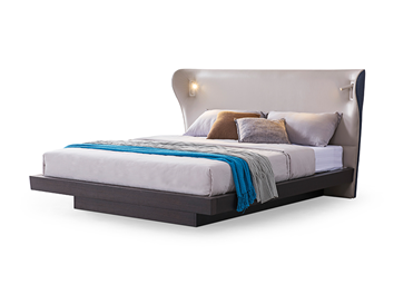 QX-6001 bed